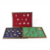 A collection of assorted British Army regimental insignia, cap and collar badges, displayed on