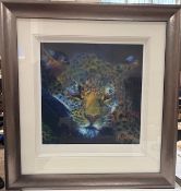 A large framed limited edition Rolf Harris print, 'Leopard at Night', Number 25/95, overall size