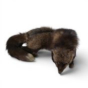 Vintage Silver Fox Stole dated 1930/40's , head, tail, paws all intact. with original clip and chain