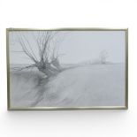 Colin F. Paynton (1946), framed landscape art print featuring bare trees in a minimalist style,