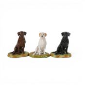 Royale Stratford model of a seated Labrador in three different colourways, bown, chocolate and