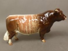 Beswick Dairy Shorthorn Bull 1504.