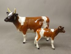 Beswick Ayshire Champion Ickham Bessie cow together with Ayshire calf (2)