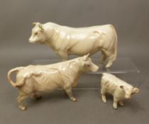 Beswick Charolais cattle family Bull, cow & calf in a gloss finish (3)