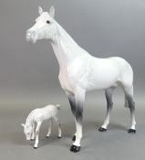 Beswick model of Bois Roussel grey Thoroughbred Stallion a/f, model no.701 and grey foal grazing,