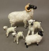 Beswick Boreray Sheep 4124 together with 4 lambs (5)
