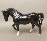 Beswick black gloss Stocky Jogging Mare 855, BCC 2005.