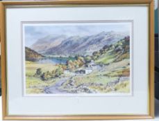 Judy Boyes, signed framed print titled Over the Pass to Brothers Water, limited edition no.348 of
