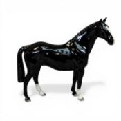 Beswick model of a Hunter horse in black gloss, model H260, h19cm.