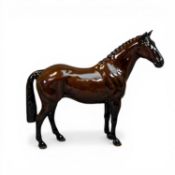Beswick model of a Hunter horse in brown gloss, model H260, h19cm, boxed.