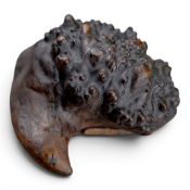 19th century burr walnut (or similar root) carved snuff box, unusual. 8cm widest.