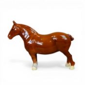 Beswick model of heavy horse, Suffolk punch in dark chestnut gloss gloss, model 1359 h.21cm.