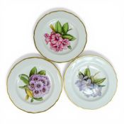 Copeland Spode Botanical Y6638 pattern plates, part of the Rhododendron series, decorated with