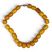 Large Butterscotch amber necklace with 37 graduating beads, silver clasp, largest bead 2.75 x 2cm