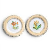 A pair of porcelain plates decorated with flowers in central frieze, gilt rope edge, approx.