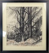 Reginald George HAGGAR,(1905-1988), charcoal sketch of trees in woodland, 36 x 32cm.