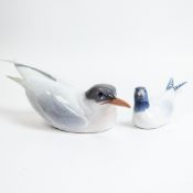Royal Copenhagen porcelain Artic Tern No:- 827 together with Seagull figurine No: 1468. Largest:-