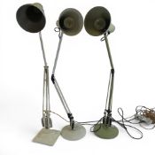 A collection of mid century desk lamps by Anglepoise featuring adjustable articulated arms and conic