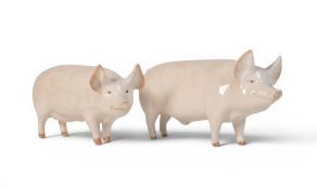 Beswick Boar CH 