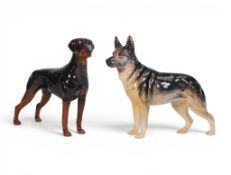 Beswick Doberman & Alsatian. Model 3121 & 969. (2)