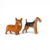Beswick Corgi in Large. Model 1299b & Beswick Airedale Terrier 