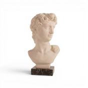 A bust model in the manner of Michelangelo's David Sculpture mounted on a Marble Base by Gi Maz of