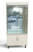 Light wood grain modern 2 door glass display cabinet, with 3 shelves, inner lighting and lower