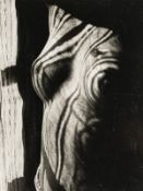 Man Ray (1890 Philadelphia, PA - 1976 Paris), 'Retour à la Raison', 1923 (Abzug 1991)