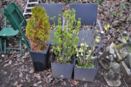 A COLLECTION OF RATTAN EFFECT GARDEN ITEMS including two metal framed chairs and three plant pots