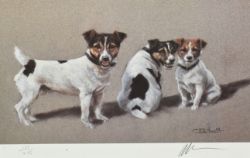 Antique & Home Sale 23rd March 2026