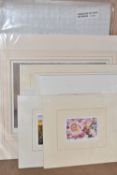 TEN UN-ISSUED SIGNED LIMITED EDITION PRINTS, artists comprise Ruth Baderian, Sally Winter x 2, Helen