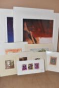 TEN UN-ISSUED SIGNED LIMITED EDITION PRINTS, artists comprise Peter Wileman, Jimi Hendrix, Vladan