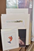 TEN UN-ISSUED SIGNED LIMITED EDITION PRINTS, artists comprise Jimi Hendrix, Chris Maunder, Tim