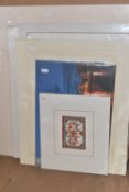 TEN UN-ISSUED SIGNED LIMITED EDITION PRINTS, artists comprise Marion Harbison, Nicky Belton,