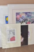 TEN UN-ISSUED SIGNED LIMITED EDITION PRINTS, artists comprise of Tim Bulmer, Ruth Baderian, Darren