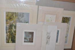 TEN UN-ISSUED SIGNED LIMITED EDITION PRINTS, artists comprise Annette Johnson x 2, Chris Maunder,