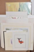 TEN UN-ISSUED SIGNED LIMITED EDITION PRINTS, artists comprise Jimi Hendrix, Chris Maunder, Ruth