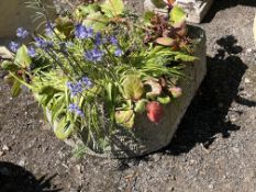 A CONCRETE PUMP TROUGH STYLE PLANTER, 44cm long