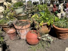 A COLLECTION OF TERRACOTTA POTS, the largest being 37cm high (5)
