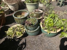 NINE GLAZED PLANT POTS, the largest being 50cm high in the form of a vase (9)