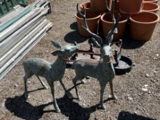 TWO CAST BRASS FIGURE OF A DOE AND A DEER, 83cm high Condition Report: no obvious damage (2)