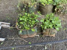 TWO QUATREFOIL SHAPED CAST IRON GARDEN PLANTERS, one 44cm across the other 31cm, both with lion mask