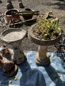 TWO CONCRETE BIRD BATHS, one in the form of a fox taking shade by a tree stump, 51cm high, and