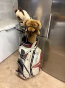 A PING GOLF BAG CONTAINING MOSTLY DUNLOP CLUBS including No Problem 5,6,8,9,P irons, NP2 22