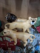A BESWICK LION, LIONESS AND LION CUB, comprising Lion - Facing Left model no 2089, Lioness -