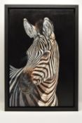 GINA HAWKSHAW (BRITISH 1975) 'ZEBRA', a portrait study of a Zebra, initialled bottom centre, oil