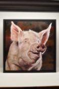 DEBBIE BOON (BRITISH CONTEMPORARY) 'HAPPY', a portrait of a jovial pig, signed bottom right, oil