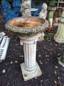 A CONCRETE BIRDBATH with a Corinthian column base, 81cm high Condition Report:weather and no visible
