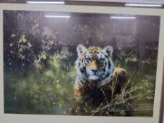 A FRAMED SIGNED LIMITED EDITION PRINT OF A TIGER BY DAVID SHEPHERD, entitled 'Cool Tiger', this