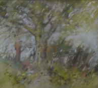 DENNIS BOOTH, 'Tree', pastel, signed to margin, framed and glazed. 23 x 26 cm.